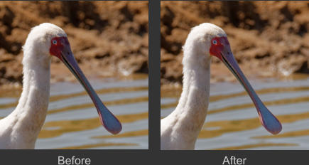 Before After