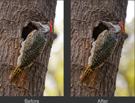 Before After
