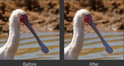 Before After